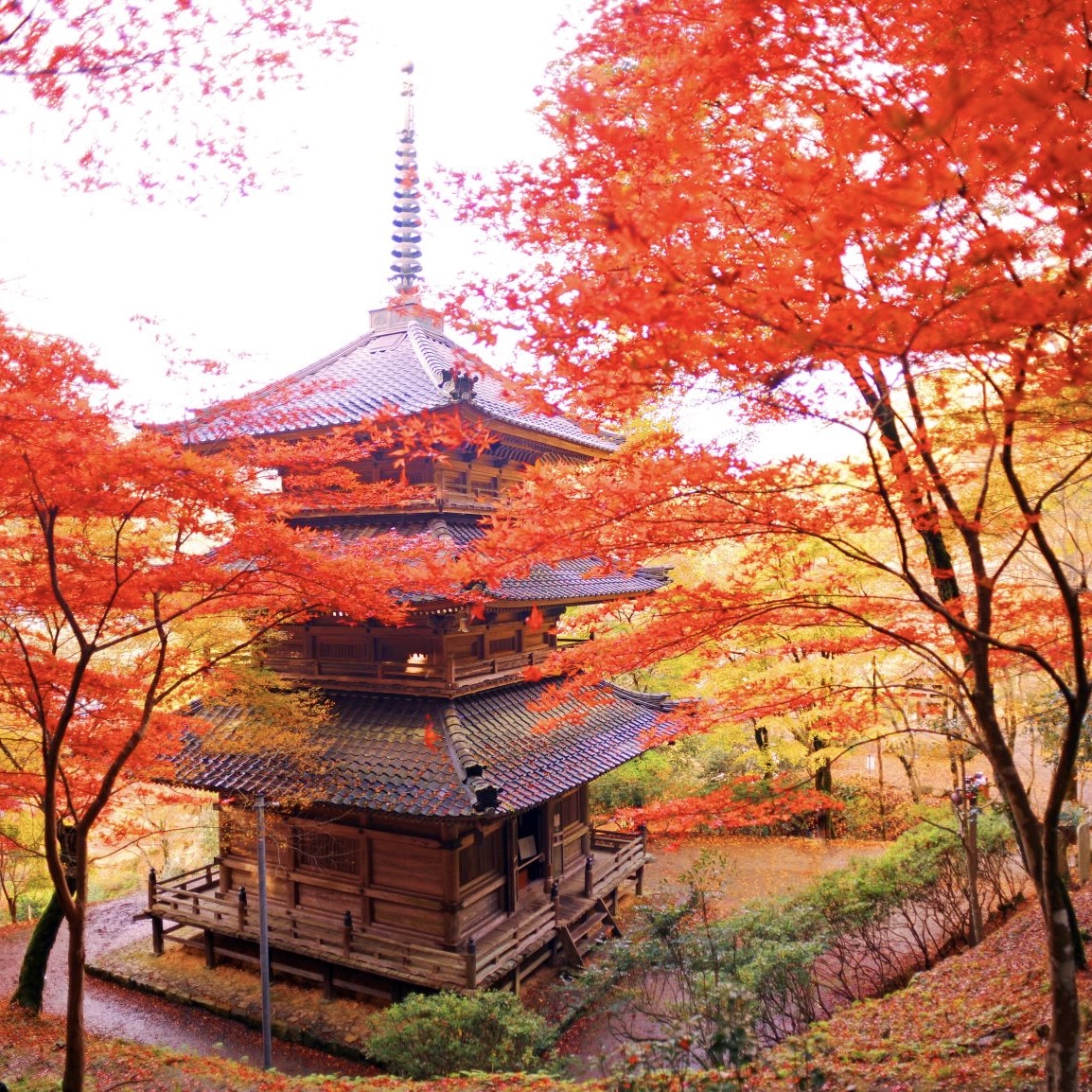 周辺案内 FOREST DOOR 旧神楽小学校