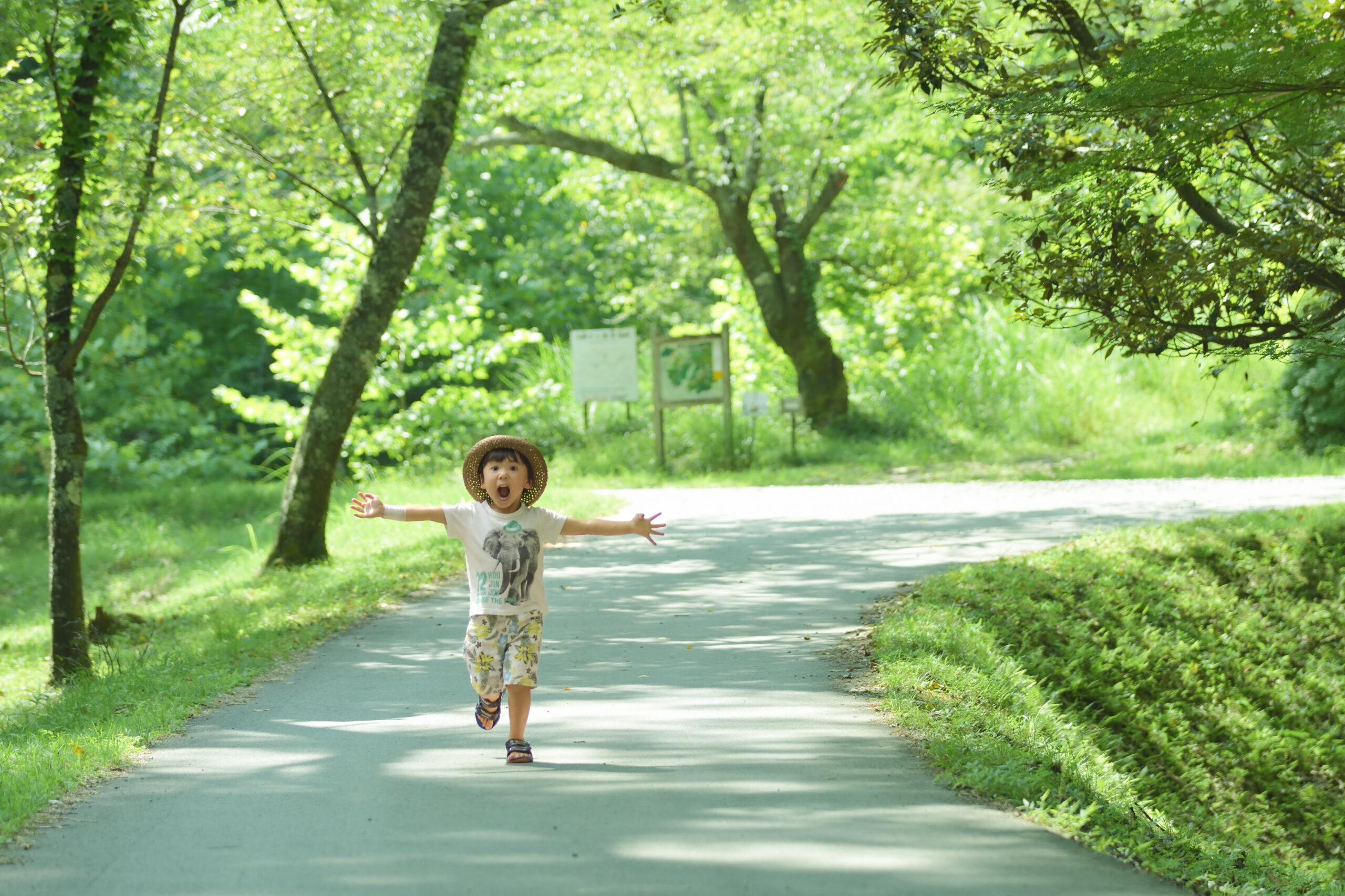 森チャリアドベンチャー | FOREST DOOR -旧神楽小学校-